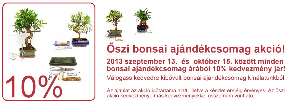 bonsai ajandekcsomagok bonsai ajandek otletek ajandek vasarlas a marczika bonsai studio bonsai webaruhazabol